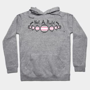 Not a Phase - Demigirl Hoodie